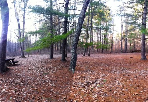 Sheltowee Trace south of Clear Creek Furnace